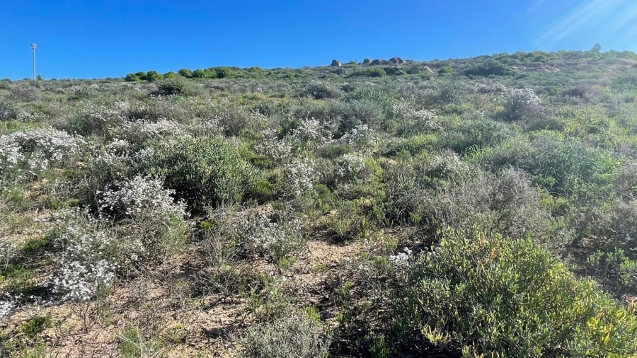 0 Bedroom Property for Sale in St Helena Views Western Cape